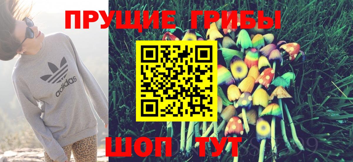Псилоцибиновые грибы мицелий Тольятти