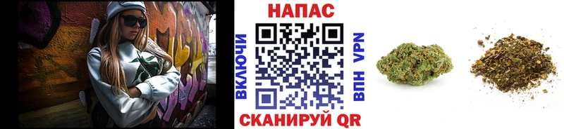 Купить закладки  Тольятти  Бошки Шишки гибрид 