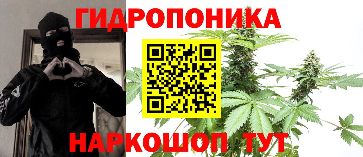 Канабис планчик Тольятти